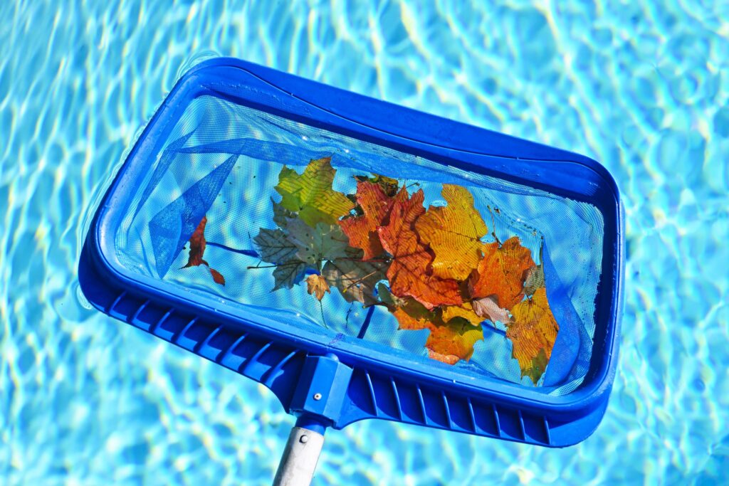 skimming leaves from pool