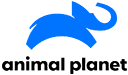 animal planet logo2
